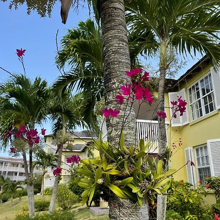 Jamaica Time Driftwood At Sea Palms 3Br 3Ba Condo In Ocho Rios With Pool And Beach Front With Views Only 10 Mins From Ochi Intl Airport Direct Flight From Miami Saint Mary Exterior foto